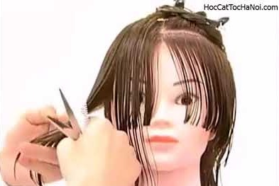 Video Học Cắt Tóc cơ bản Đầu Nấm, Basic Haircut Mushzoom (Phần 1)