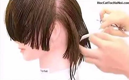 Video Học Cắt Tóc cơ bản Đầu Nấm, Basic Haircut Mushzoom (Phần 2)